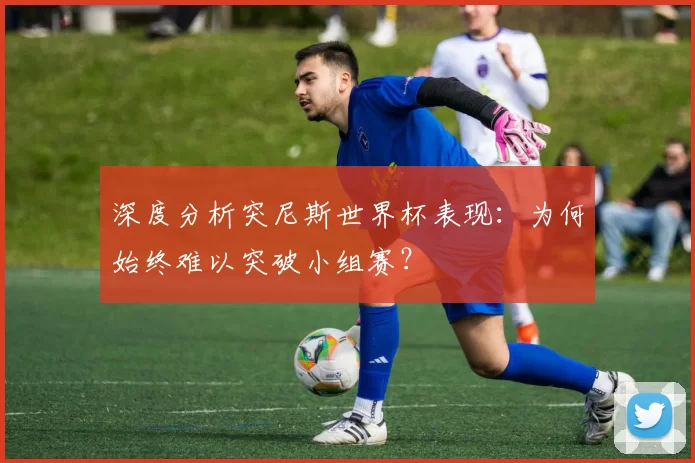 深度分析突尼斯世界杯表现:为何始终难以突破小组赛?