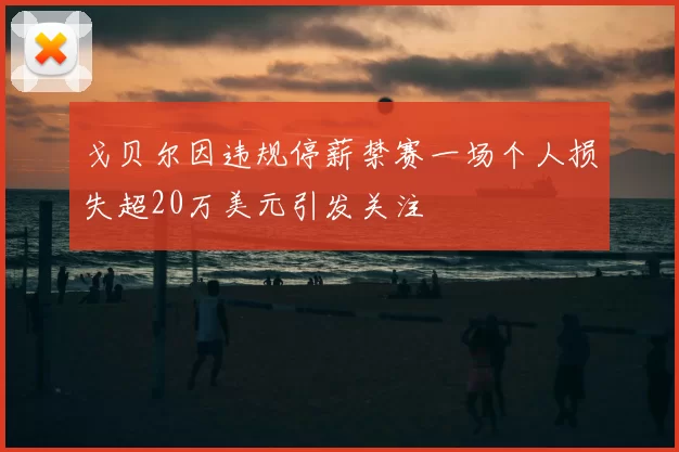 戈贝尔因违规停薪禁赛一场个人损失超20万美元引发关注