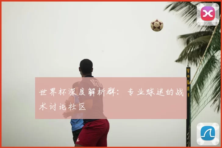 世界杯深度解析群:专业球迷的战术讨论社区