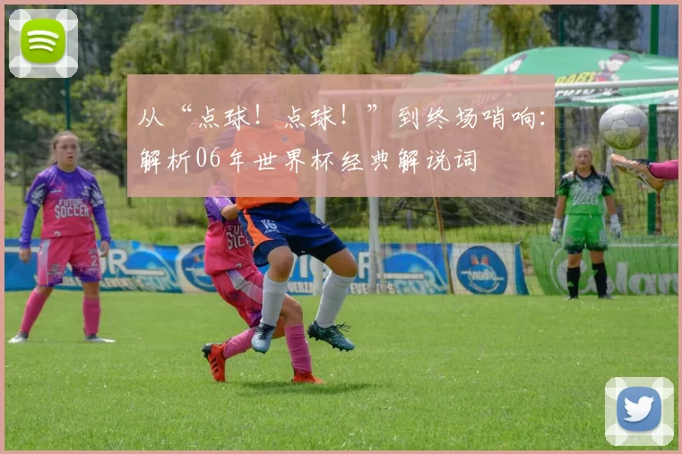 从“点球!点球!”到终场哨响:解析06年世界杯经典解说词