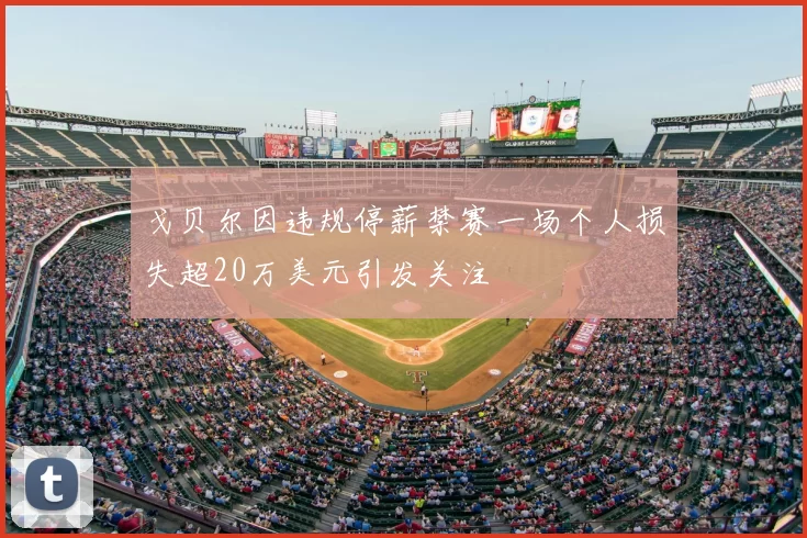 戈贝尔因违规停薪禁赛一场个人损失超20万美元引发关注