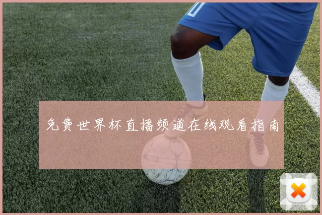 免费世界杯直播频道在线观看指南