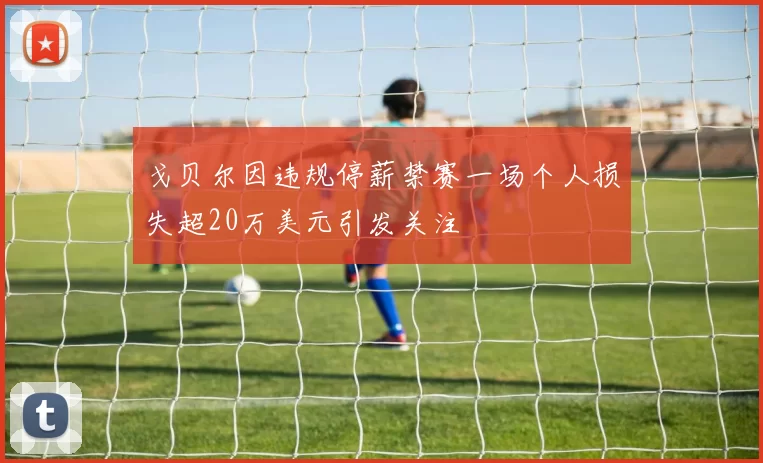 戈贝尔因违规停薪禁赛一场个人损失超20万美元引发关注