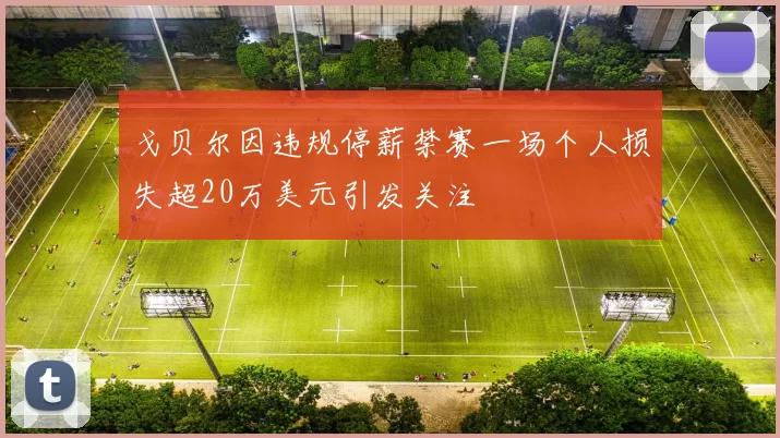 戈贝尔因违规停薪禁赛一场个人损失超20万美元引发关注