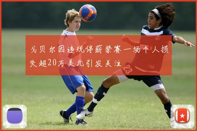 戈贝尔因违规停薪禁赛一场个人损失超20万美元引发关注
