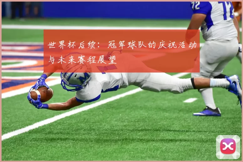 世界杯后续:冠军球队的庆祝活动与未来赛程展望