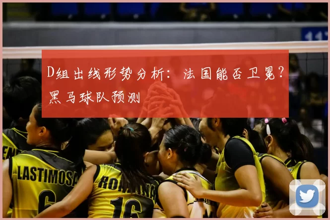 D组出线形势分析:法国能否卫冕?黑马球队预测