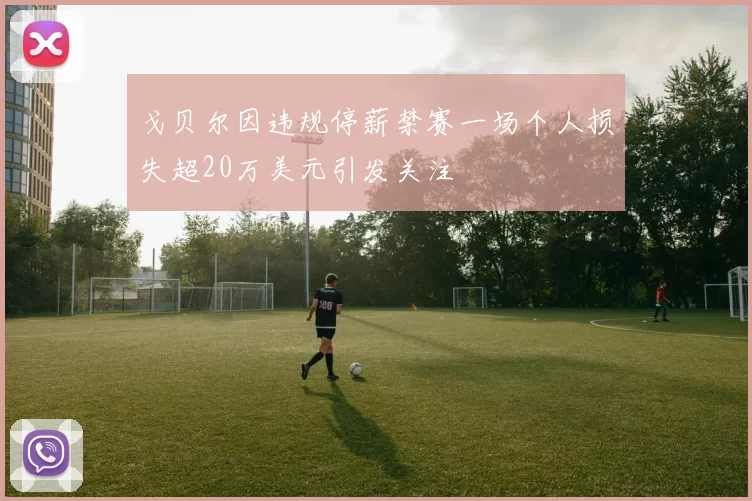 戈贝尔因违规停薪禁赛一场个人损失超20万美元引发关注