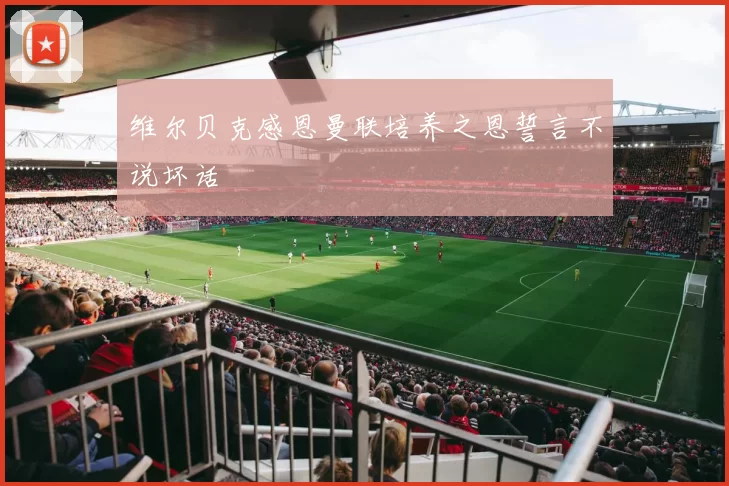 维尔贝克感恩曼联培养之恩誓言不说坏话