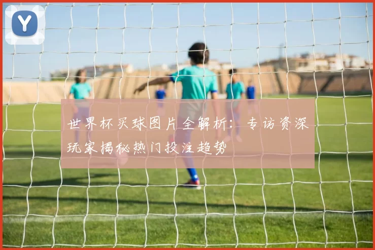 世界杯买球图片全解析：专访资深玩家揭秘热门投注趋势
