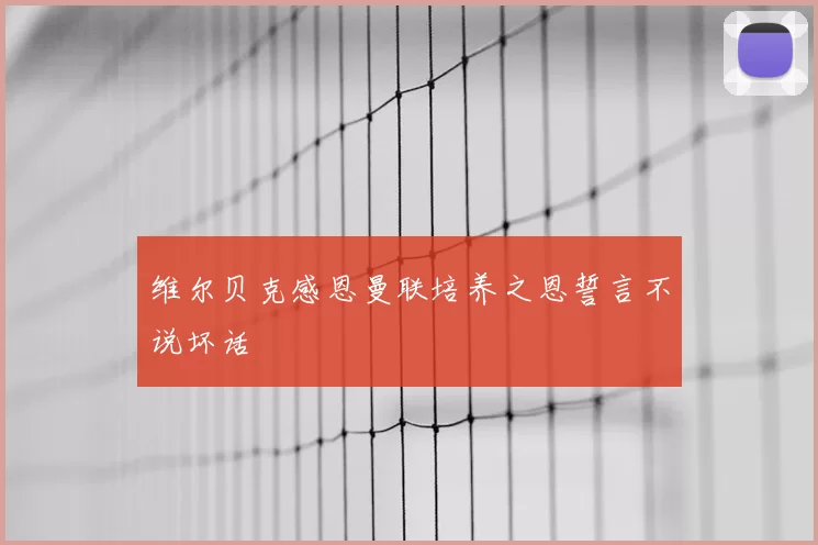 维尔贝克感恩曼联培养之恩誓言不说坏话