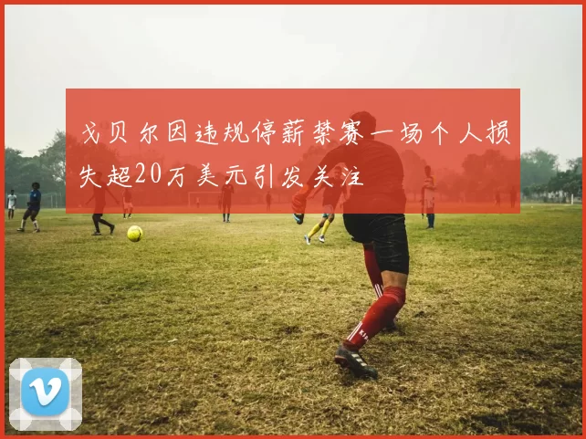 戈贝尔因违规停薪禁赛一场个人损失超20万美元引发关注