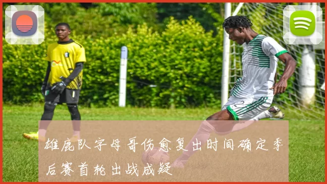 雄鹿队字母哥伤愈复出时间确定季后赛首轮出战成疑