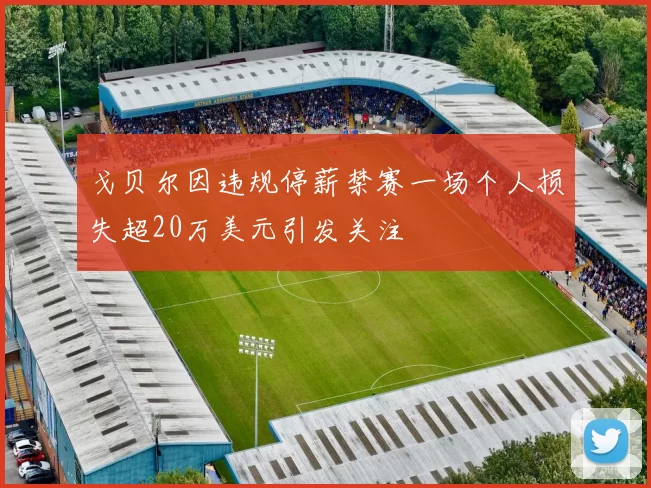 戈贝尔因违规停薪禁赛一场个人损失超20万美元引发关注