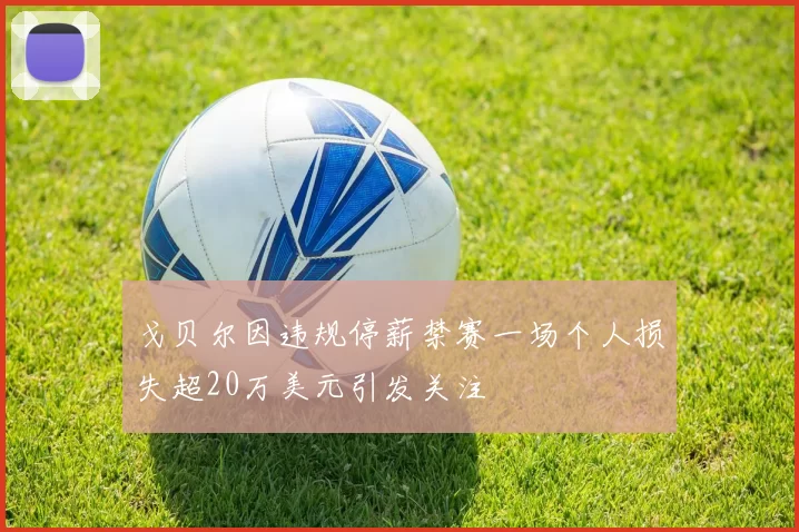 戈贝尔因违规停薪禁赛一场个人损失超20万美元引发关注