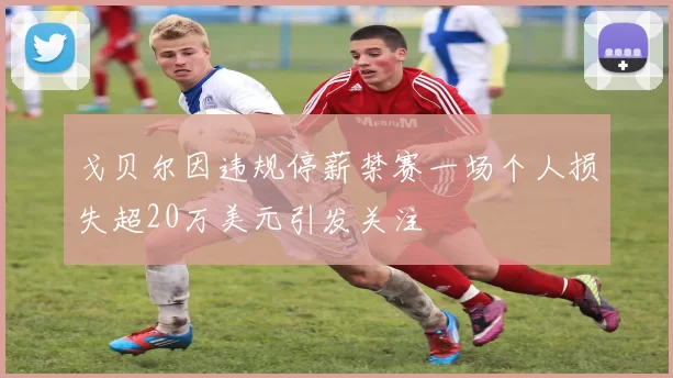 戈贝尔因违规停薪禁赛一场个人损失超20万美元引发关注