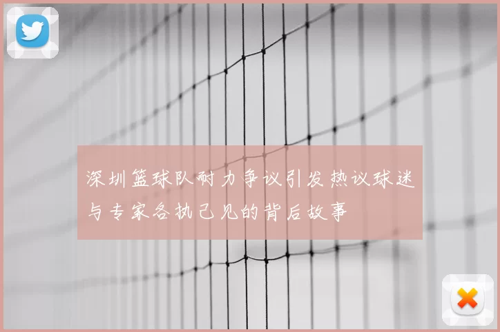 深圳篮球队耐力争议引发热议球迷与专家各执己见的背后故事