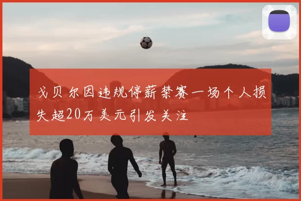 戈贝尔因违规停薪禁赛一场个人损失超20万美元引发关注