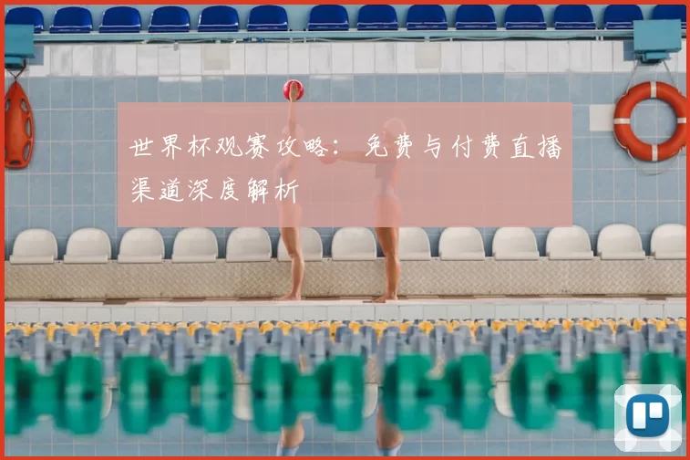 世界杯观赛攻略：免费与付费直播渠道深度解析