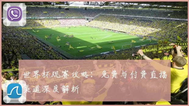 世界杯观赛攻略：免费与付费直播渠道深度解析